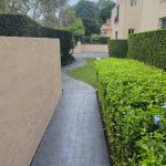 Brookvale Strata Complex Exterior Repaint and Driveway Sealing 16 fineline painting brookvale gulliver street strata repaint